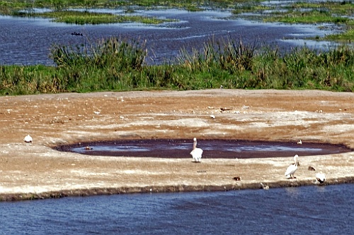 Kenia (226)